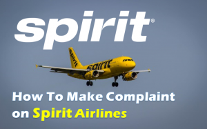 What is Spirit Airlines Special Assistance Phone Number?